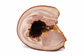 Tasmanian wood smoke nitrate free bacon
