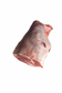 Lamb leg bone in